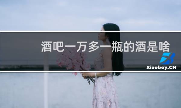 酒吧一万多一瓶的酒是啥