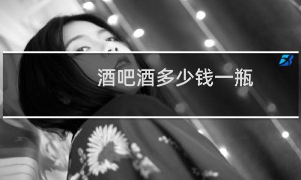 酒吧酒多少钱一瓶