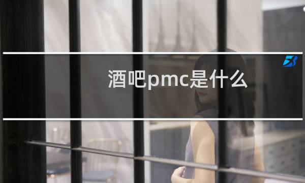 酒吧pmc是什么