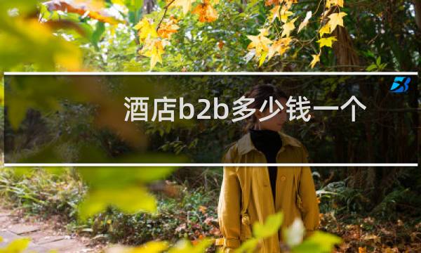 酒店b2b多少钱一个