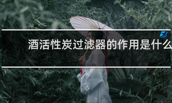 酒活性炭过滤器的作用是什么