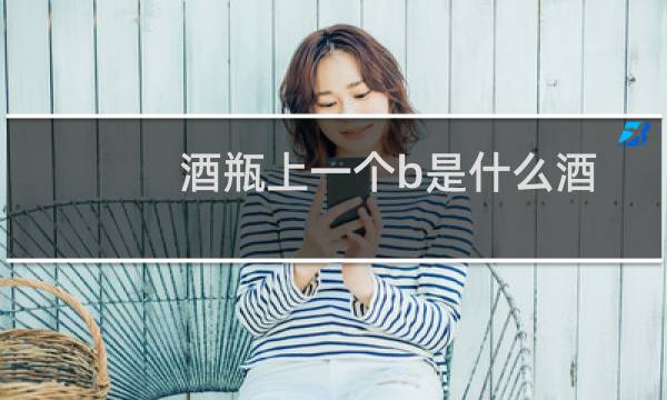 酒瓶上一个b是什么酒