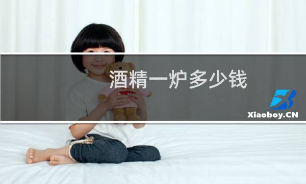 酒精一炉多少钱