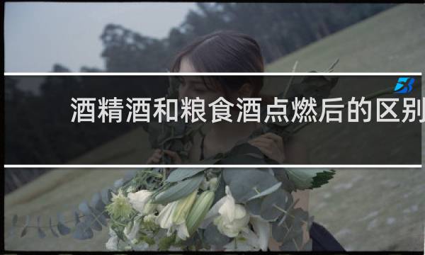 酒精酒和粮食酒点燃后的区别