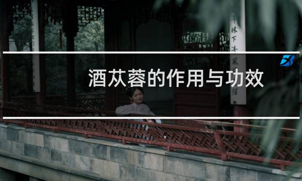 酒苁蓉的作用与功效