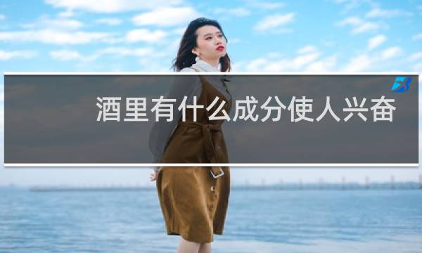 酒里有什么成分使人兴奋
