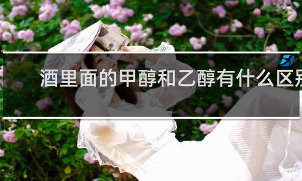 酒里面的甲醇和乙醇有什么区别