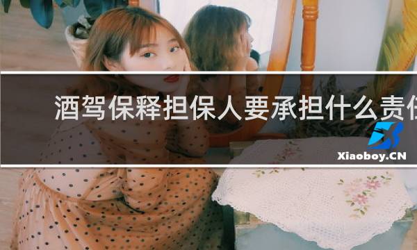 酒驾保释担保人要承担什么责任