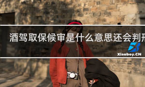 酒驾取保候审是什么意思还会判刑吗