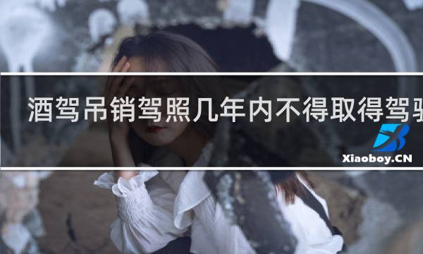 酒驾吊销驾照几年内不得取得驾驶证