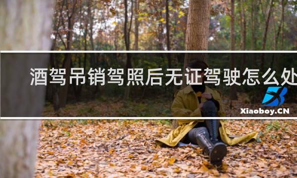酒驾吊销驾照后无证驾驶怎么处罚