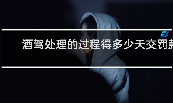 酒驾处理的过程得多少天交罚款