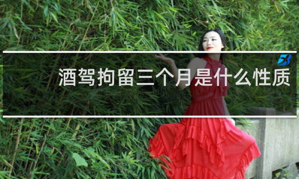 酒驾拘留三个月是什么性质