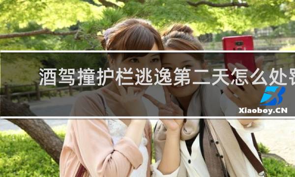 酒驾撞护栏逃逸第二天怎么处罚