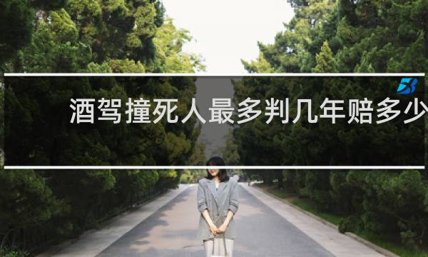 酒驾撞死人最多判几年赔多少
