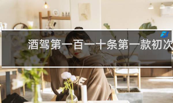 酒驾第一百一十条第一款初次