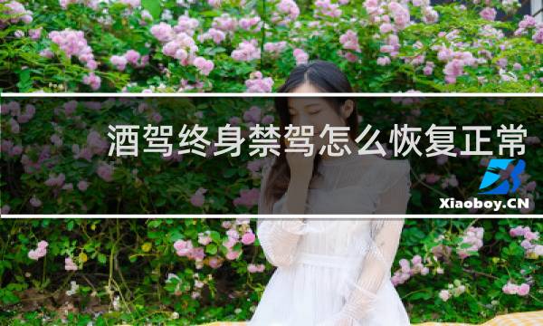 酒驾终身禁驾怎么恢复正常