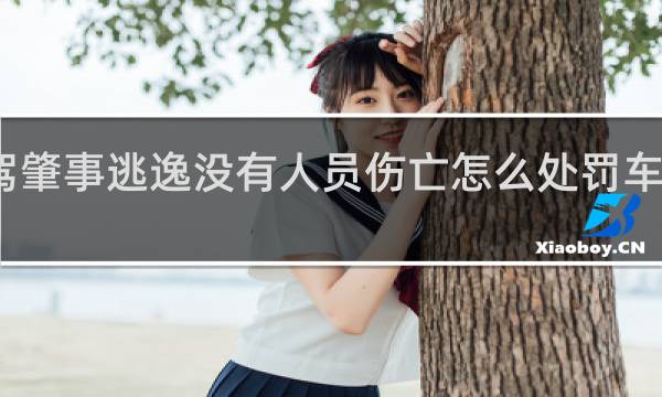 酒驾肇事逃逸没有人员伤亡怎么处罚车子有损坏