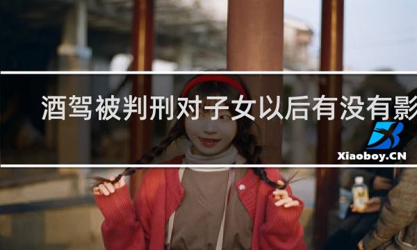 酒驾被判刑对子女以后有没有影响