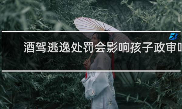 酒驾逃逸处罚会影响孩子政审吗