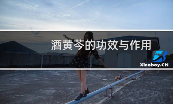 酒黄芩的功效与作用