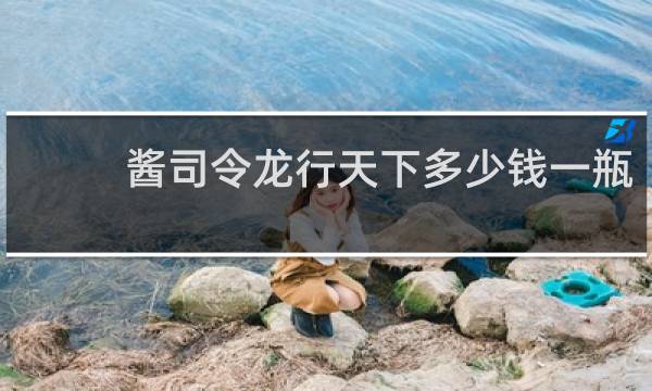 酱司令龙行天下多少钱一瓶