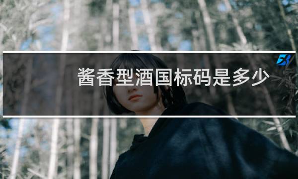酱香型酒国标码是多少