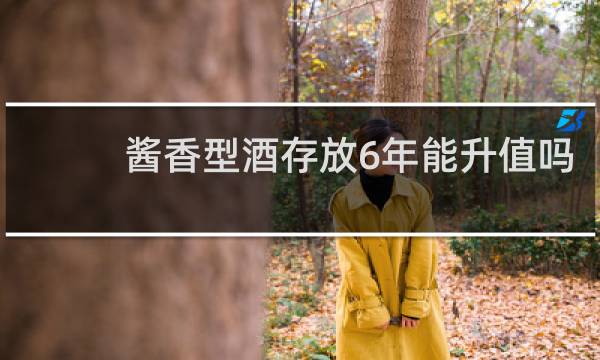 酱香型酒存放6年能升值吗