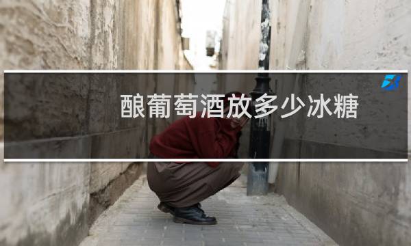 酿葡萄酒放多少冰糖