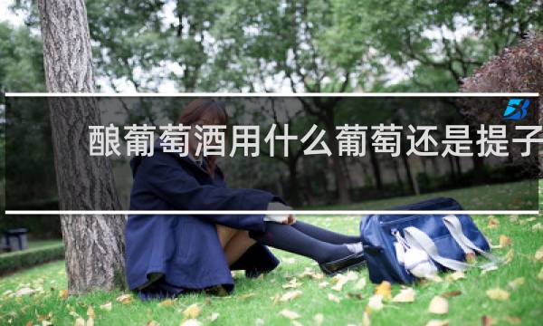 酿葡萄酒用什么葡萄还是提子