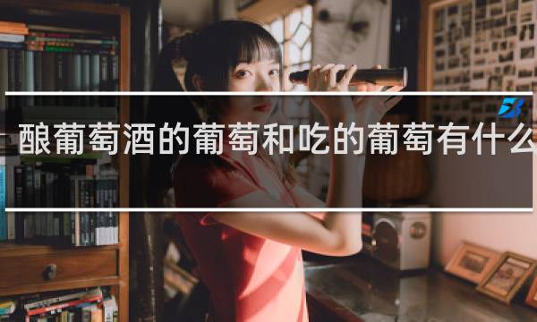 酿葡萄酒的葡萄和吃的葡萄有什么区别