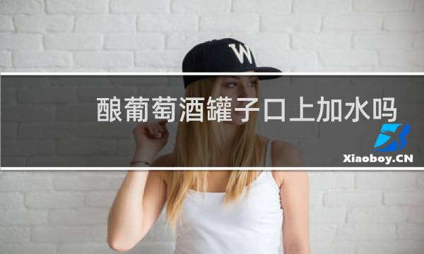 酿葡萄酒罐子口上加水吗