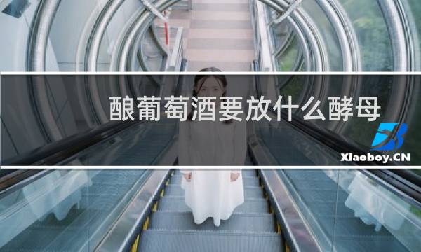酿葡萄酒要放什么酵母