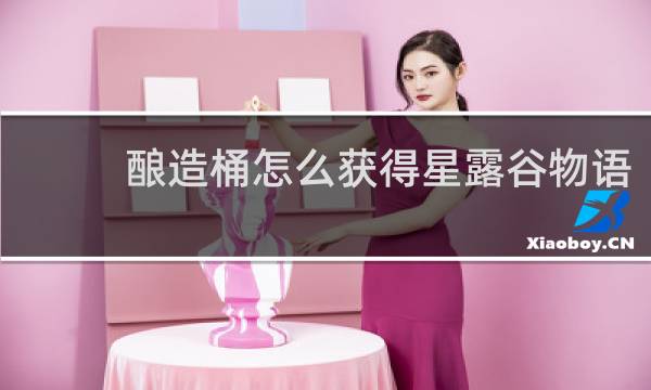 酿造桶怎么获得星露谷物语