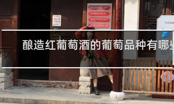 酿造红葡萄酒的葡萄品种有哪些