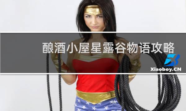 酿酒小屋星露谷物语攻略