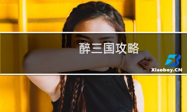 醉三国攻略