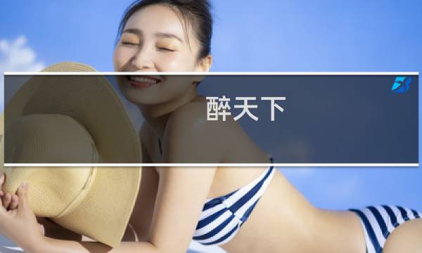 醉天下 攻略