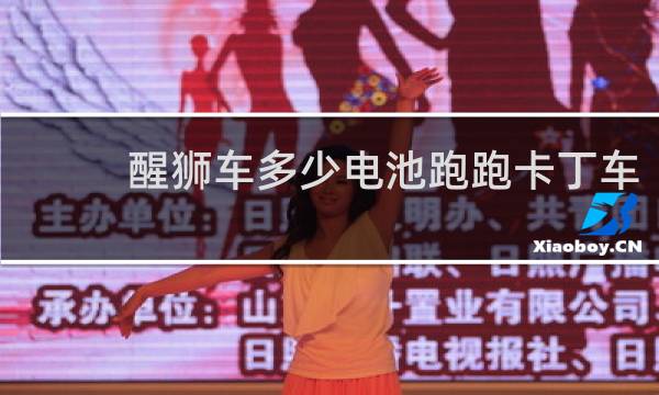 醒狮车多少电池跑跑卡丁车