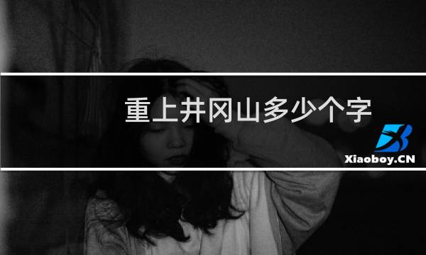 重上井冈山多少个字