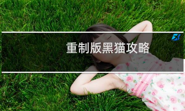 重制版黑猫攻略