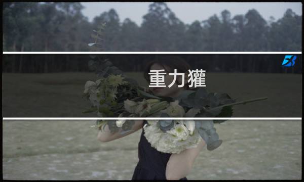 重力獾 攻略