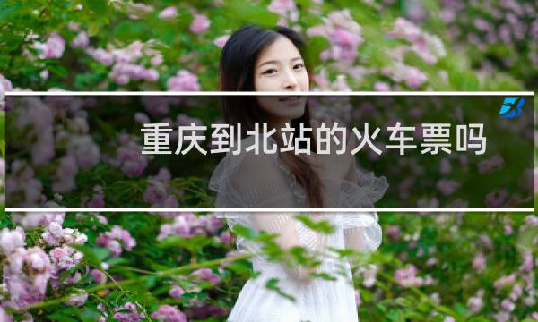 重庆到北站的火车票吗