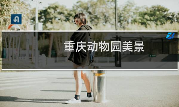 重庆动物园美景