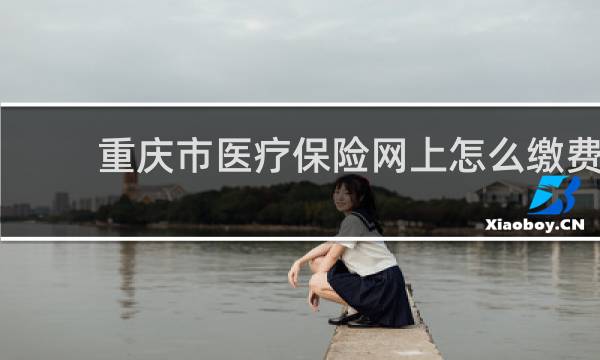 重庆市医疗保险网上怎么缴费