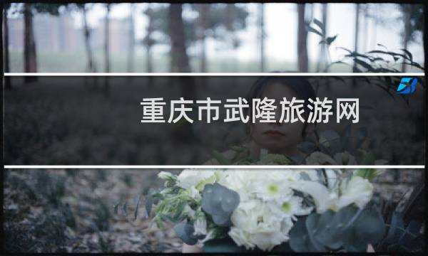 重庆市武隆旅游网