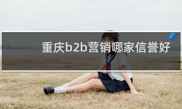 重庆b2b营销哪家信誉好