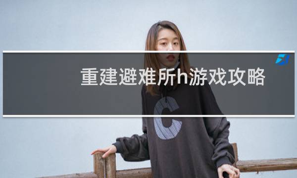 重建避难所h游戏攻略