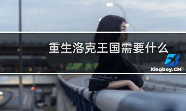 重生洛克王国需要什么