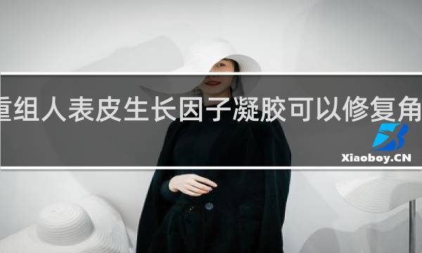 重组人表皮生长因子凝胶可以修复角质层吗